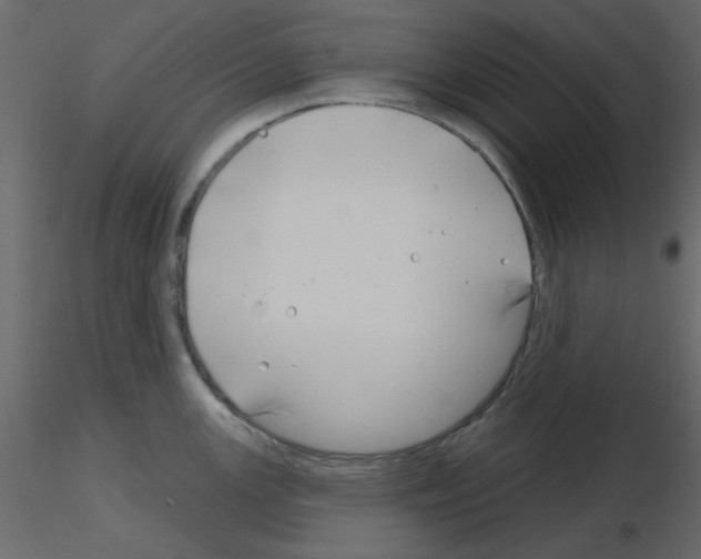 X0000115811147200912241908