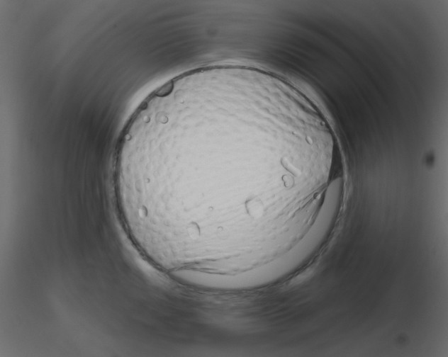 X0000115811149200912241908