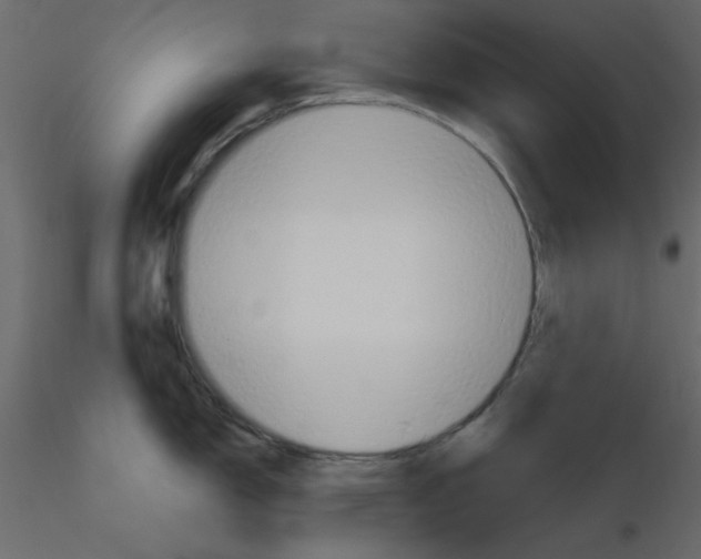 X0000115811150200912241908