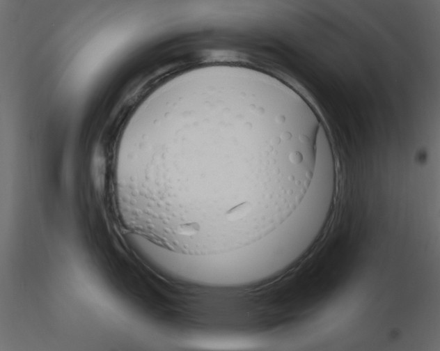 X0000115811151200912241908