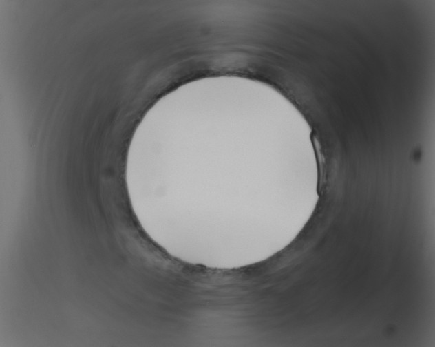 X0000115811153200912241908