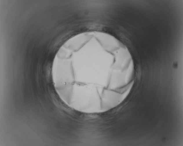 X0000115811154200912241908