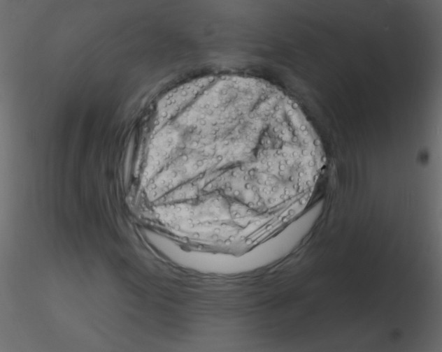 X0000115811155200912241908