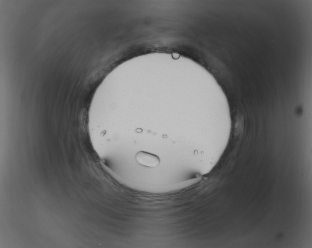 X0000115811156200912241908