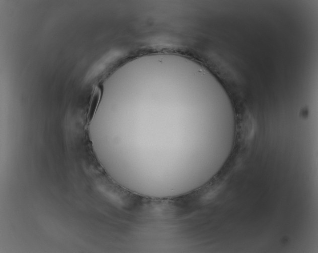 X0000115811157200912241908