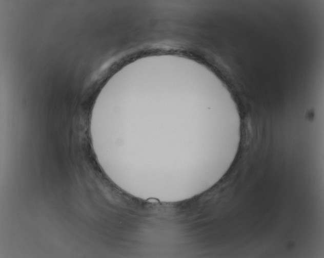 X0000115811158200912241908