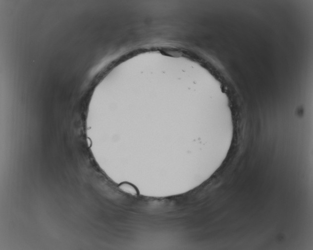 X0000115811160200912241908