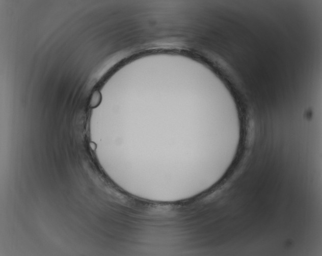 X0000115811162200912241908