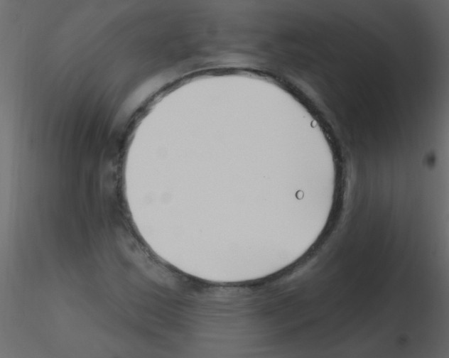 X0000115811163200912241908