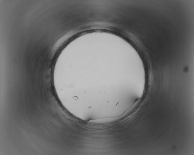 X0000115811164200912241908