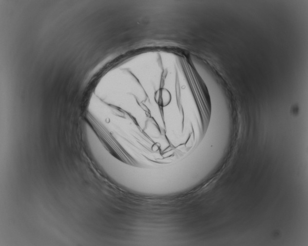 X0000115811165200912241908