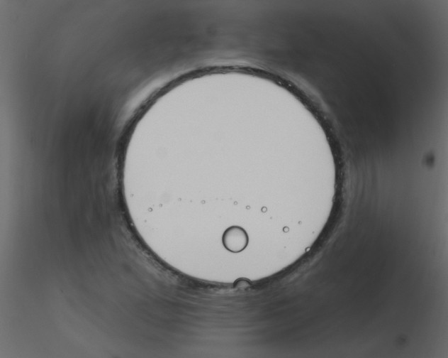 X0000115811167200912241908