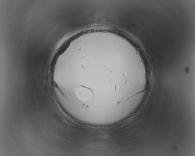 X0000115811168200912241908