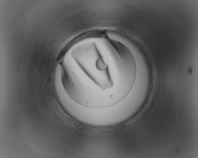 X0000115811169200912241908