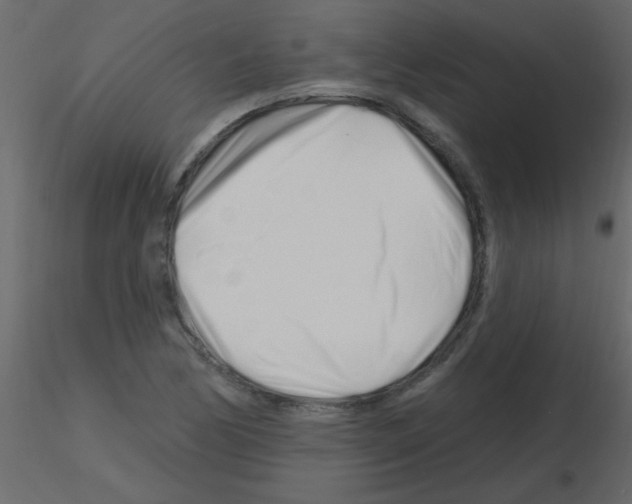 X0000115811170200912241908