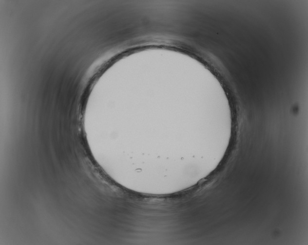 X0000115811172200912241908