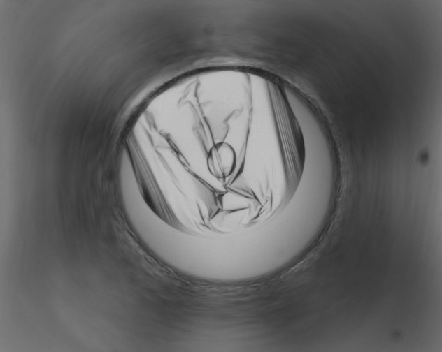 X0000115811173200912241908