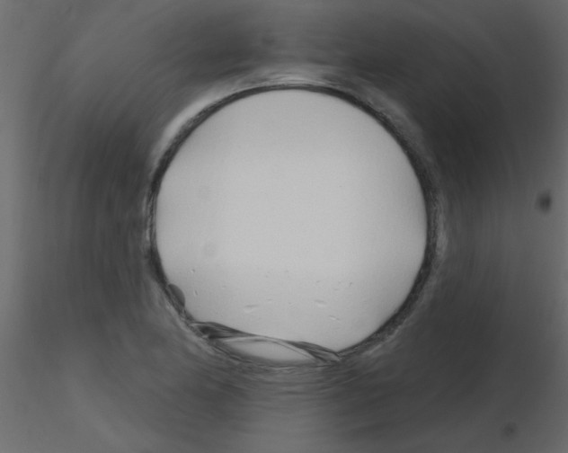 X0000115811174200912241908