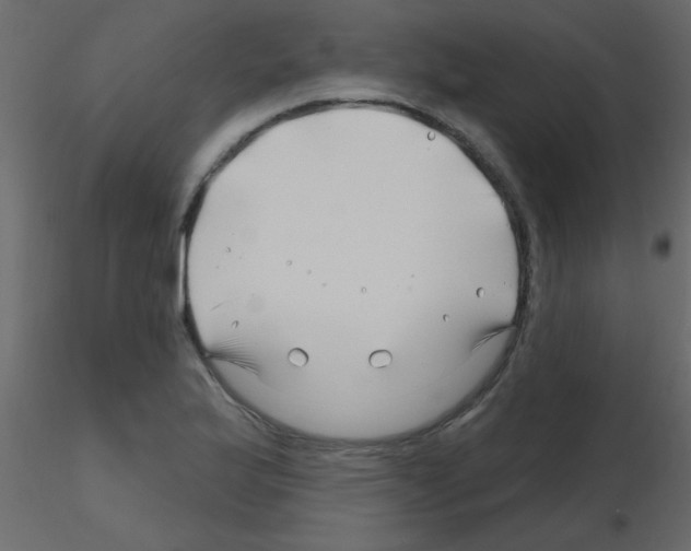 X0000115811175200912241908