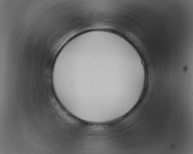 X0000115811177200912241907