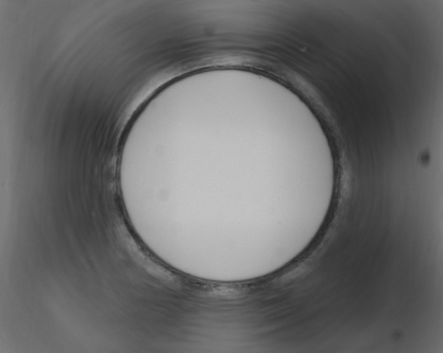 X0000115811178200912241907