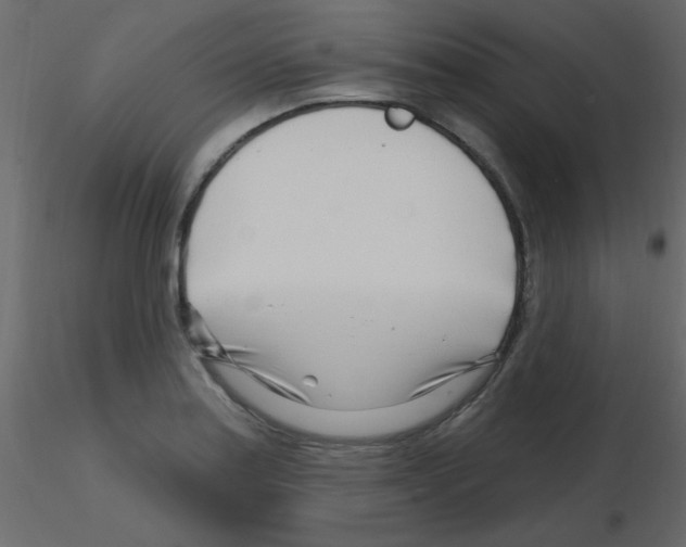 X0000115811179200912241907