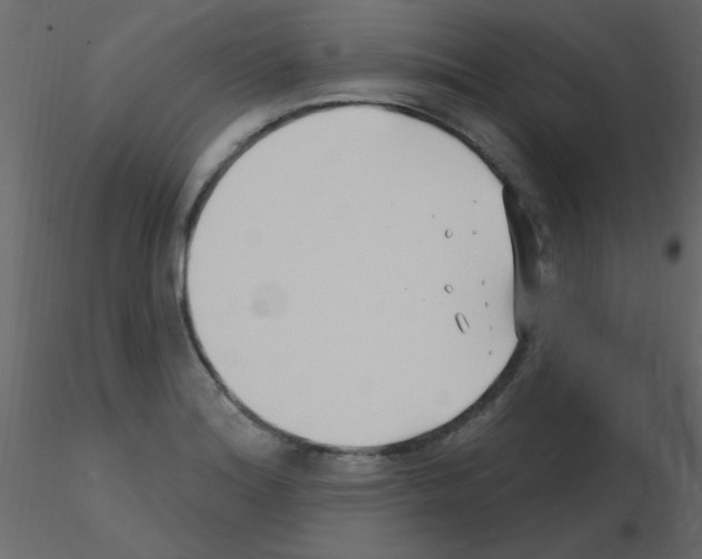 X0000115811180200912241907