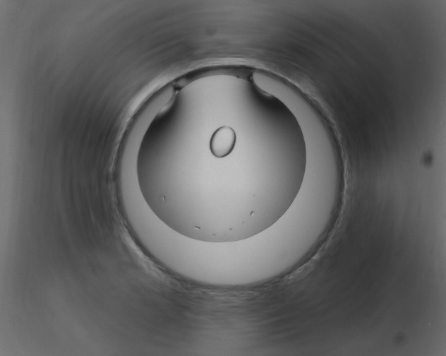 X0000115811181200912241907