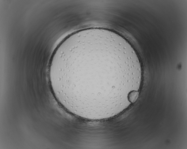 X0000115811182200912241907