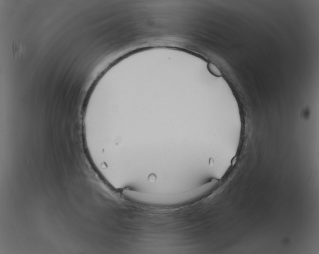 X0000115811184200912241907