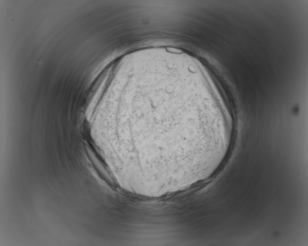 X0000115811185200912241907