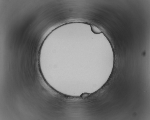 X0000115811187200912241907