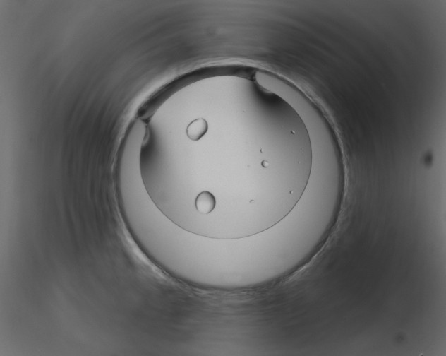 X0000115811189200912241907