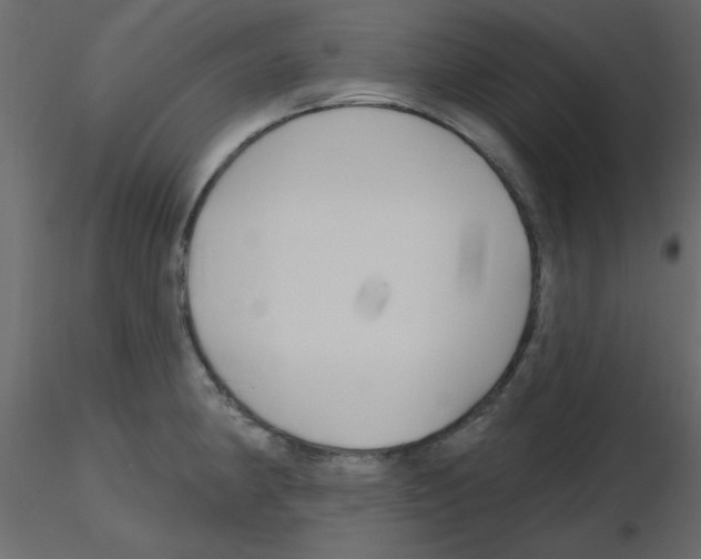 X0000115811190200912241907