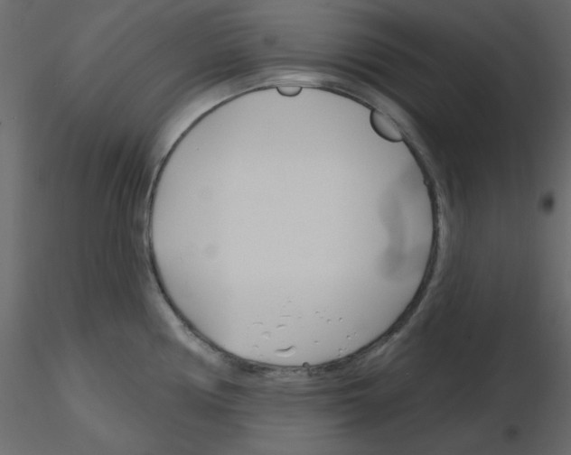 X0000115811194200912241907