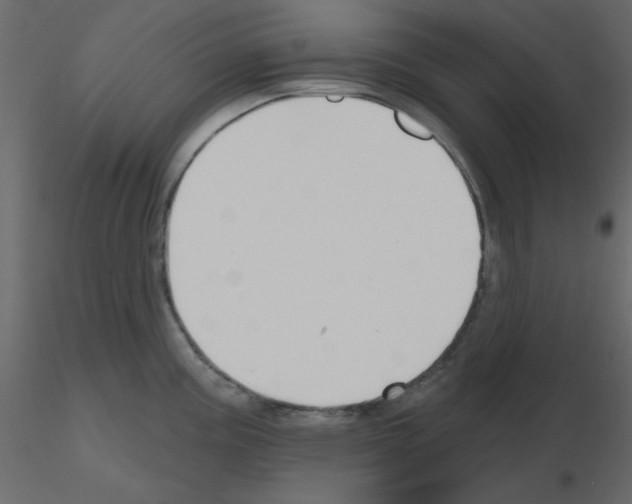 X0000115811195200912241907