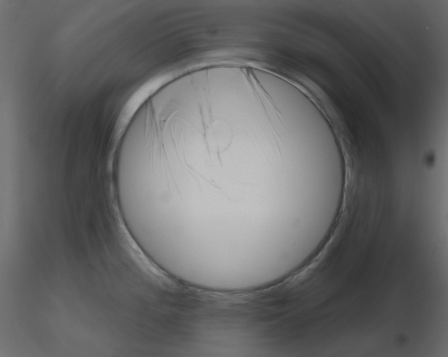 X0000115811196200912241907