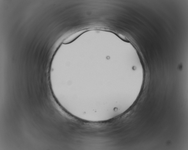 X0000115811197200912241907