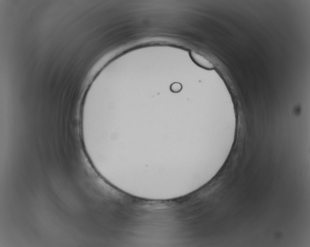 X0000115811199200912241907