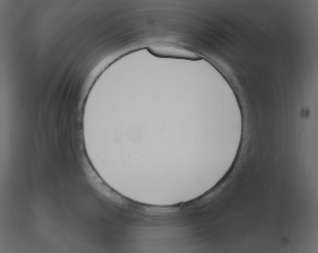 X0000115811200200912241907