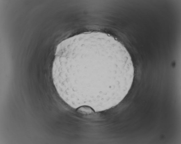 X0000115811201200912241907