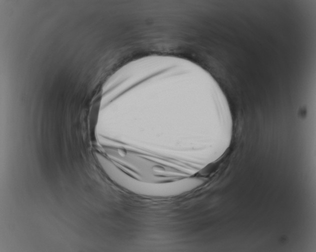 X0000115811202200912241907