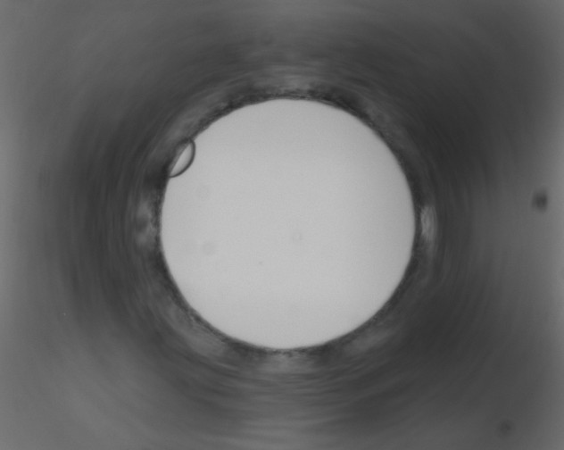 X0000115811203200912241907