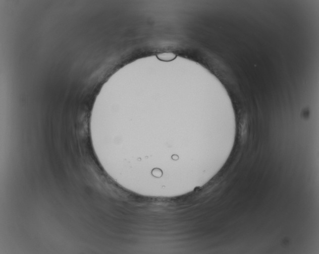 X0000115811204200912241907