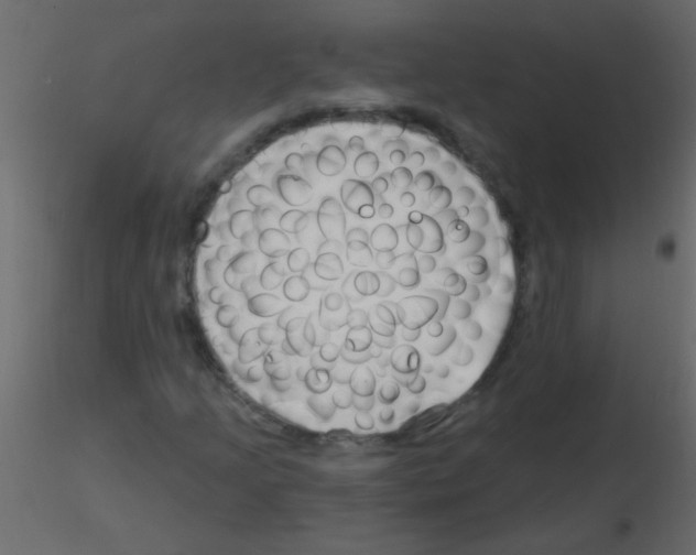 X0000115811205200912241907