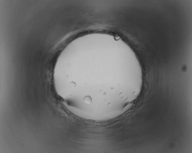 X0000115811206200912241907