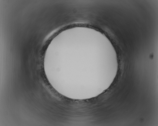 X0000115811208200912241907