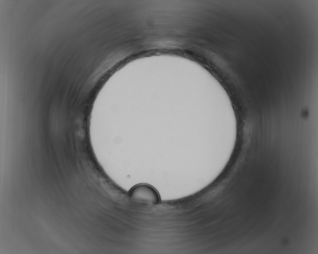 X0000115811209200912241907