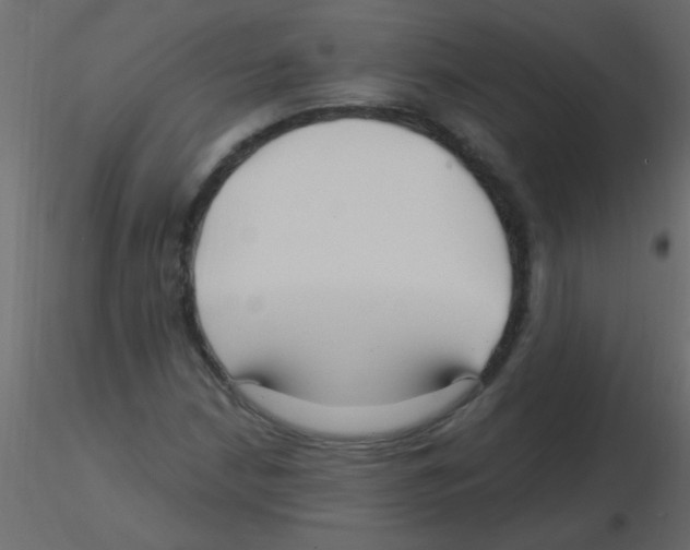 X0000115811210200912241907