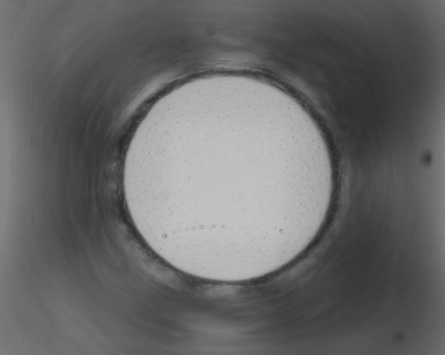 X0000115811211200912241907